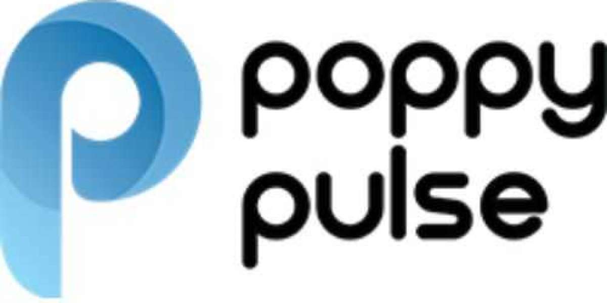 Poppy Pulse: The Go-To Performance Marketing Company in Noida and Delhi