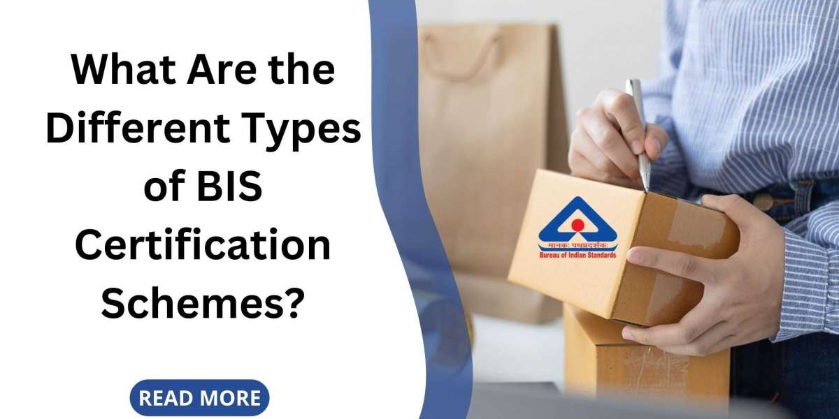 What Are the Different Types of BIS Certification Schemes?