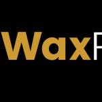 waxpaper_uk Profile Picture
