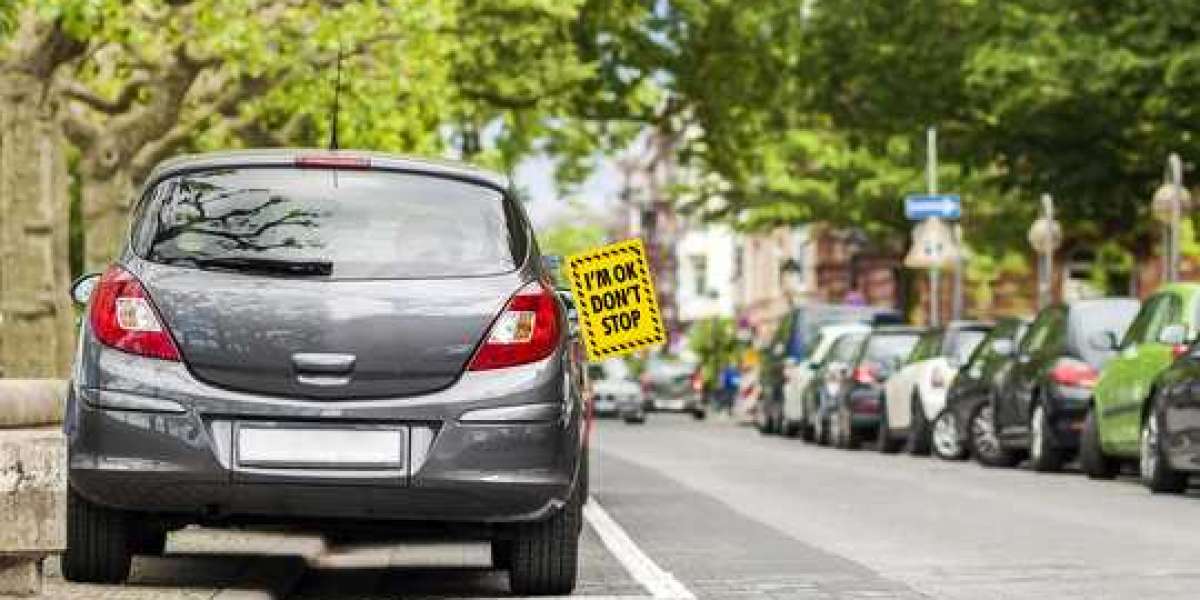 Rhythms of Risk: Why Emergency Signs Operate Like Visual Sirens