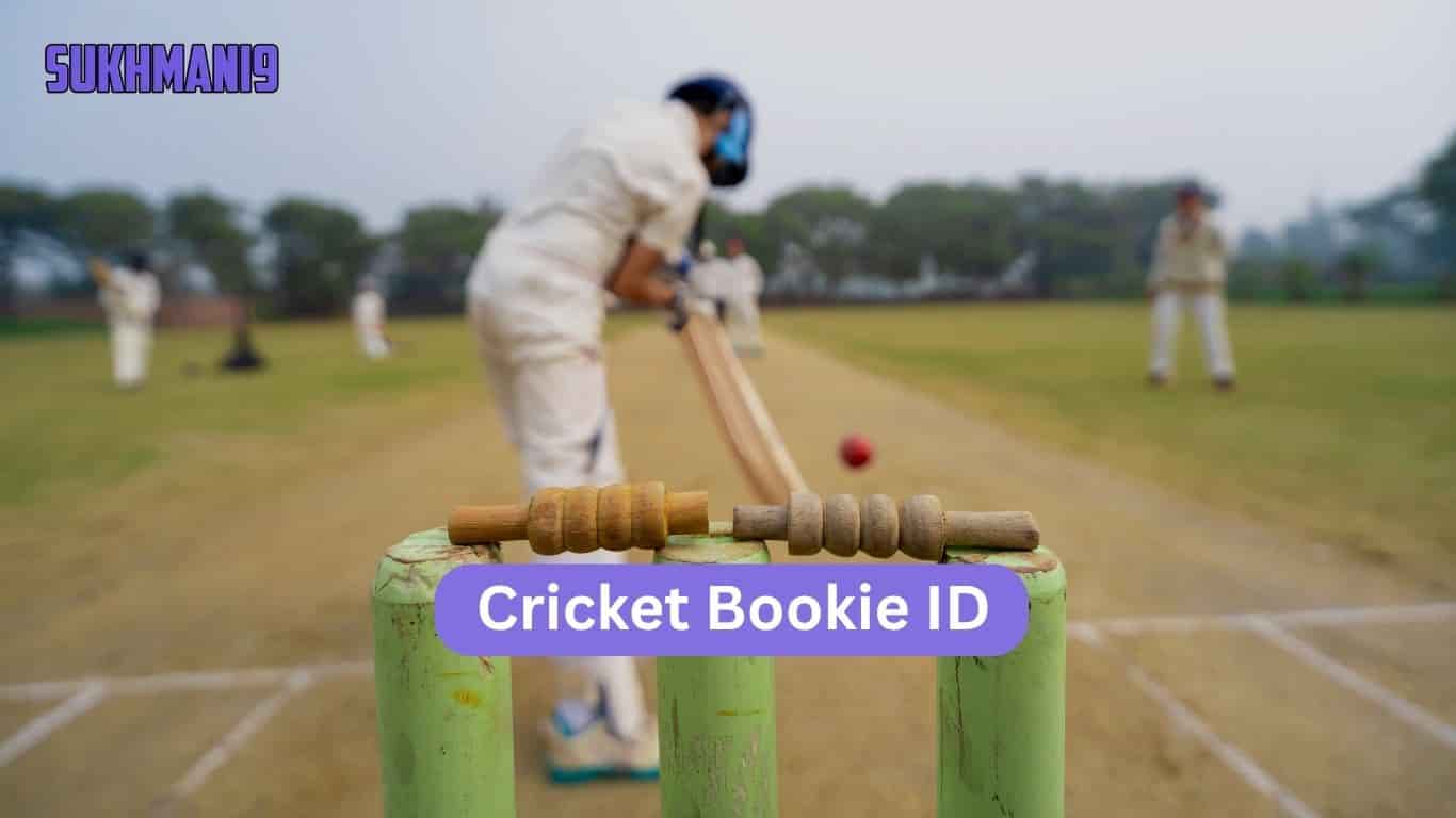 5 Things To Check Before You Buy A Cricket Bookie ID