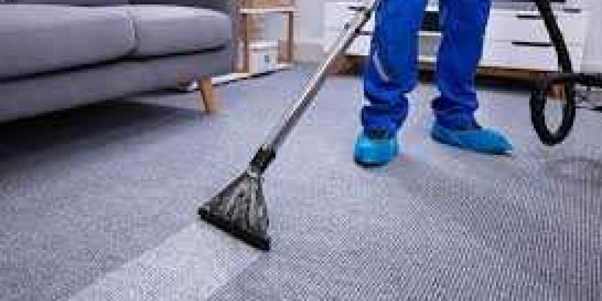 Carpet Cleaning Services That Extend Carpet Warranty