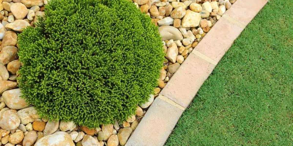 Transform Your Outdoor Space with Expert Landscaping in Manassas, VA