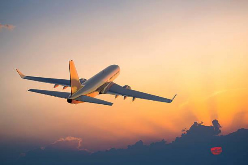 Full List of United Airlines Customer® Contact Numbers in the USA - Easyfie
