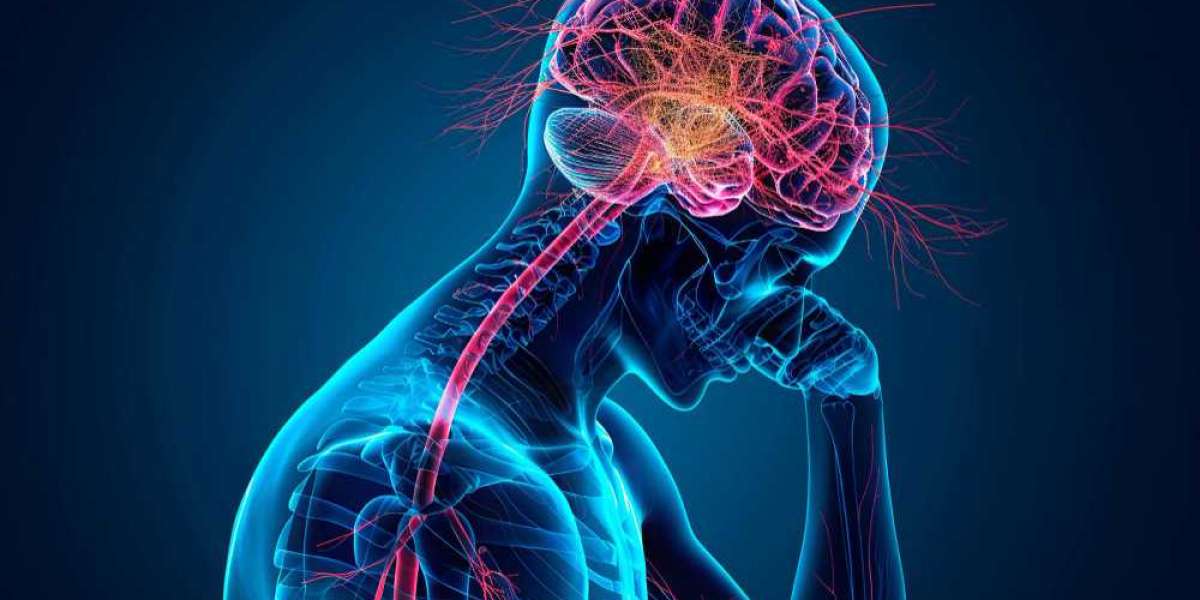 Epilepsy Market