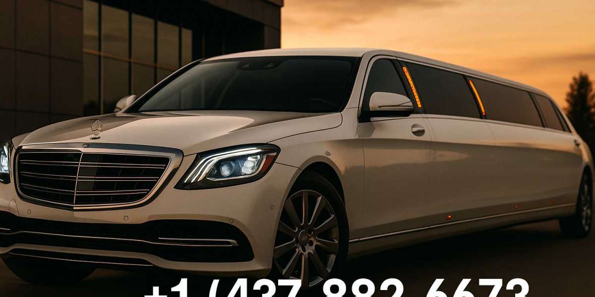 Top Reasons to Choose Limo Rental Niagara for Your Next Wine Tour or Event