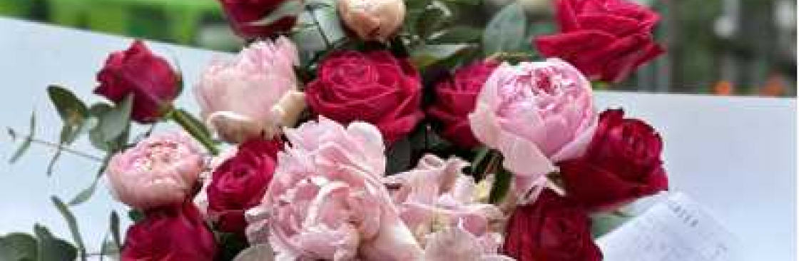 melbourne melbourneflowermerchant Cover Image