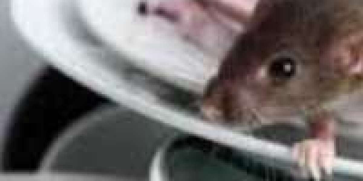 Rodent & Wildlife Control: Protecting Properties and Preserving Balance