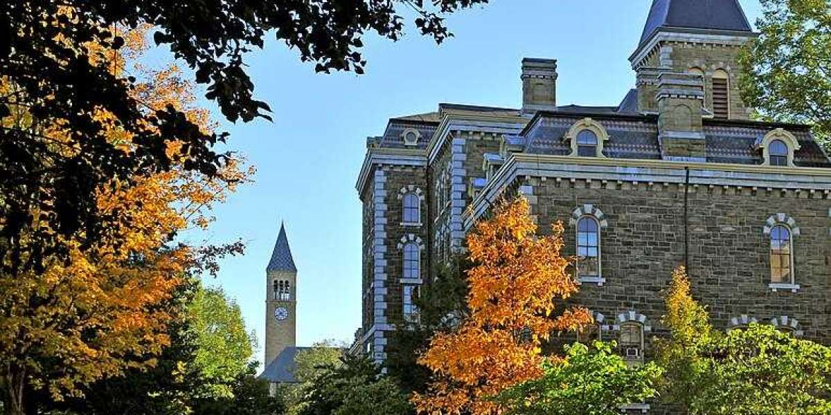 What Makes Cornell MiM Ideal for Fresh Graduates