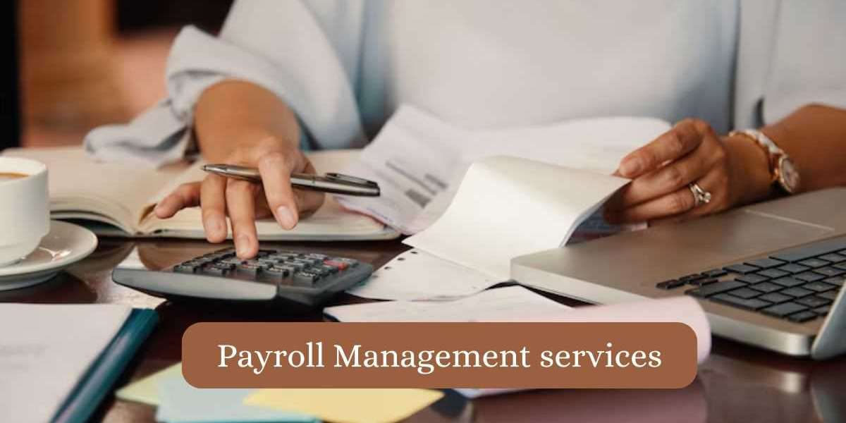Finding the Best Bookkeeping Services in Houston for Business Growth