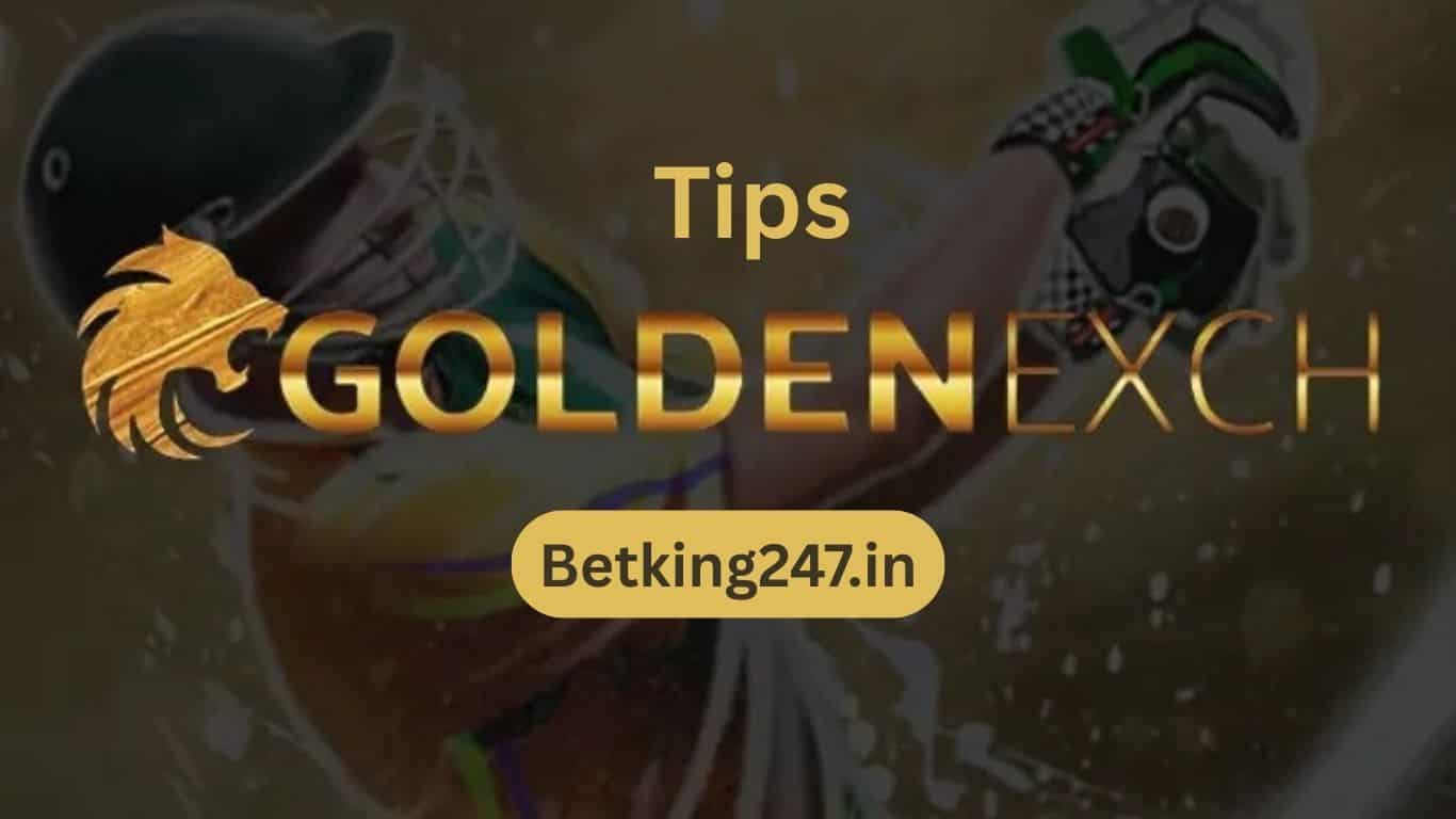 Tips for Creating a Winning Streak on Goldenexch