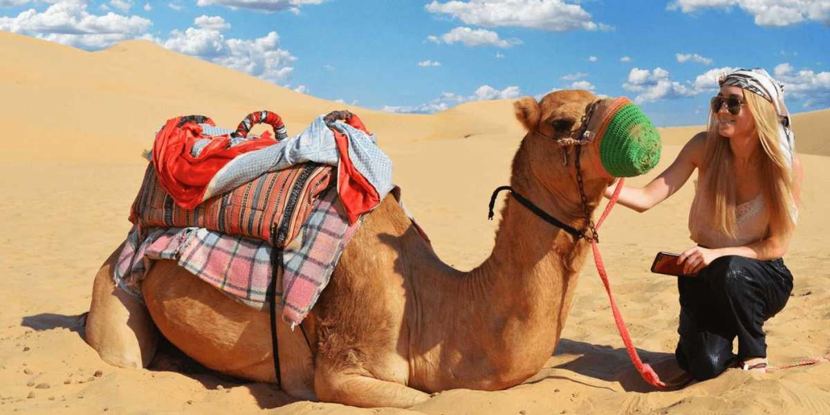 Desert Safari Abu Dhabi – Your Gateway to Adventure and Culture