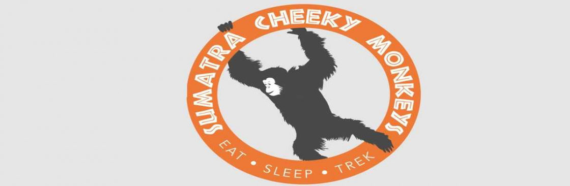 Sumatra cheeky monkeys Cover Image
