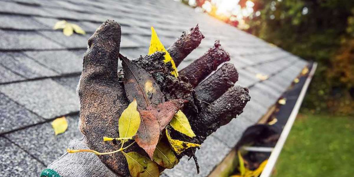 Why Gutter Cleaning and Installation Saves You Money
