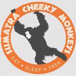 Sumatra cheeky monkeys Profile Picture