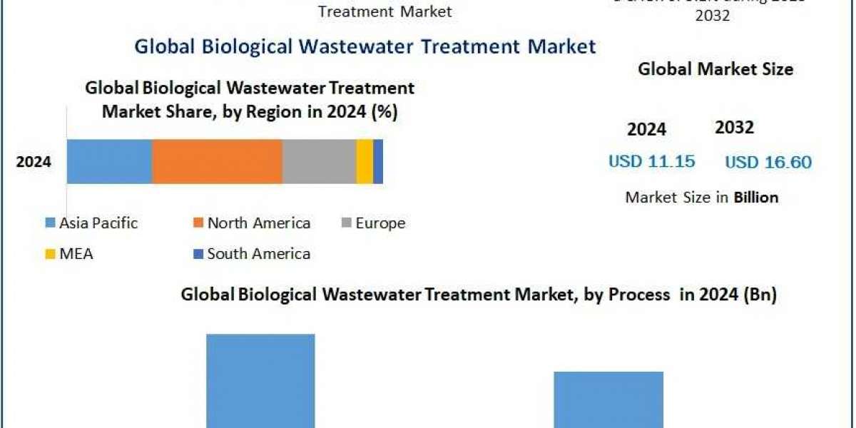 Biological Wastewater Treatment Market Industry Overview, Growth Drivers and Forecast 2025-2032