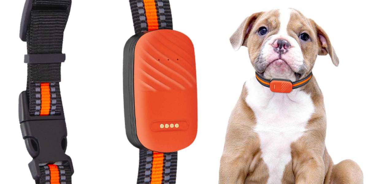 How Pawtechpet Pet Tracker Enhances Safety