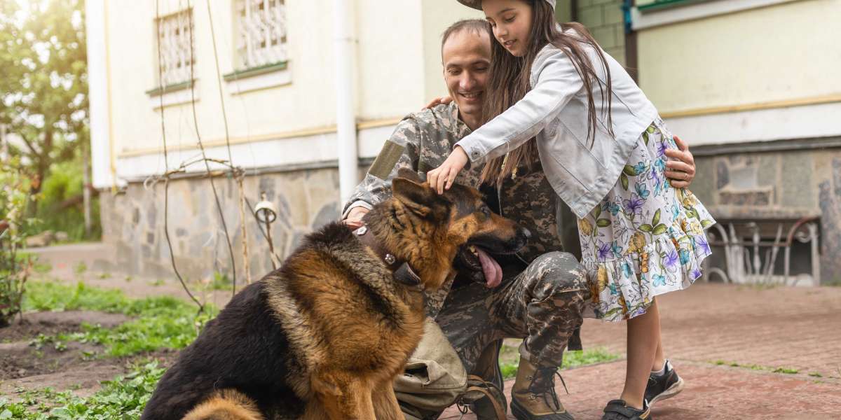 Essential Dog Grooming Services for Pet Health