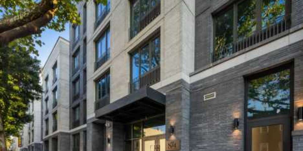 Reynaers Distributor USA – Premium Aluminium Windows and Doors by Swapwindows