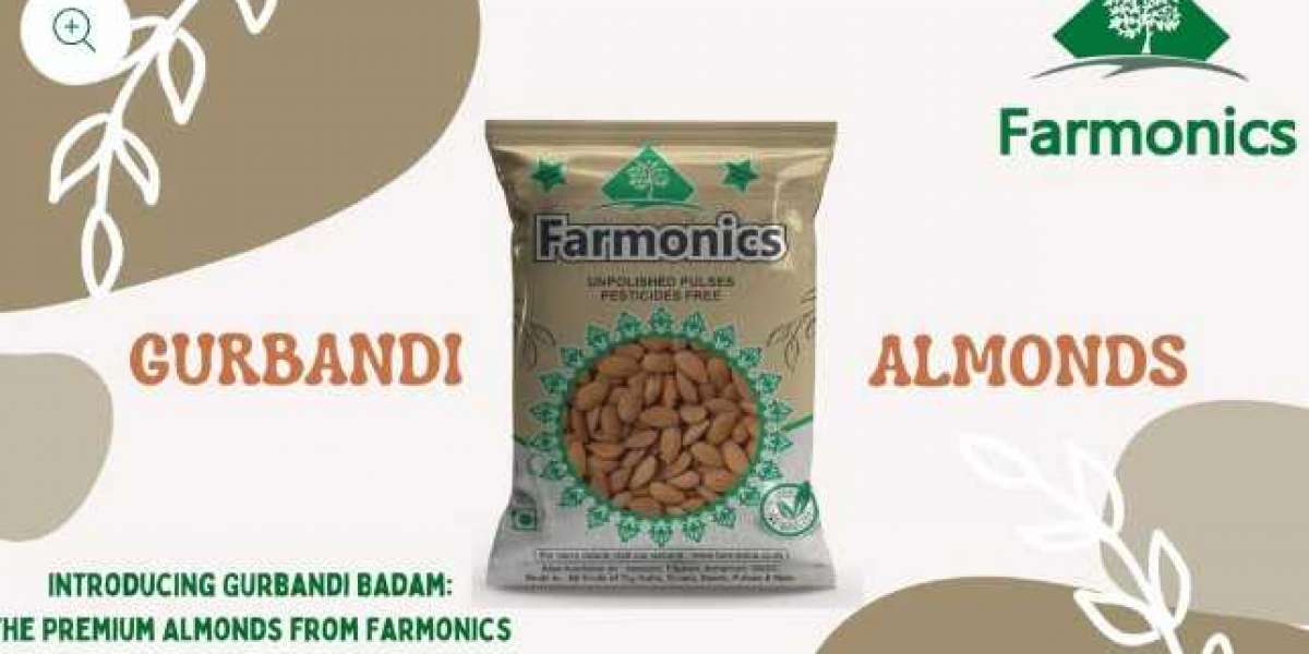 Gurbandi Almond: A Small Nut with Big Health Benefits