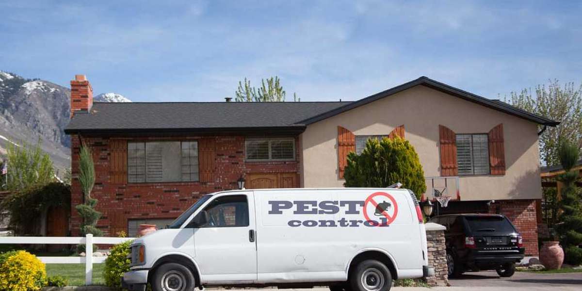 Pest Control Bethpage NY: Professional Solutions for a Pest-Free Home