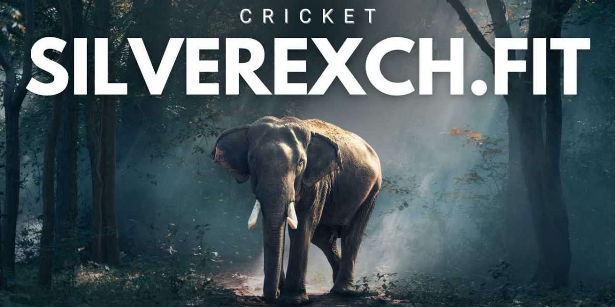 Celebrating Indian Cricket Excellence: Safe Digital Engagement with Silverex