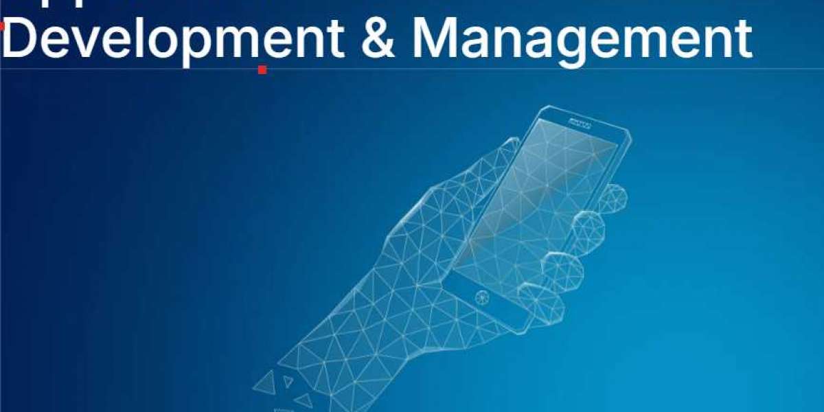 How to Build a Custom EHR System for Your Clinic