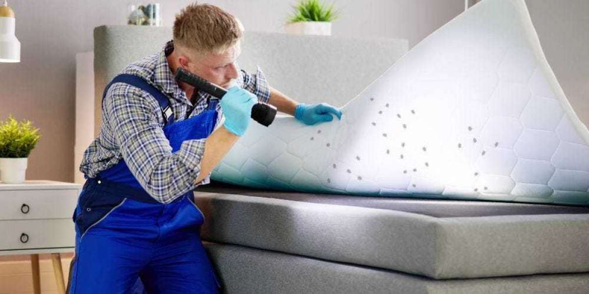 How Trusted Bed Bug Experts in Queens Protect Your Home for Good
