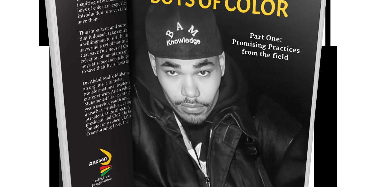 We Can Save Our Boys of Color: A Comprehensive Guide to Creating Change